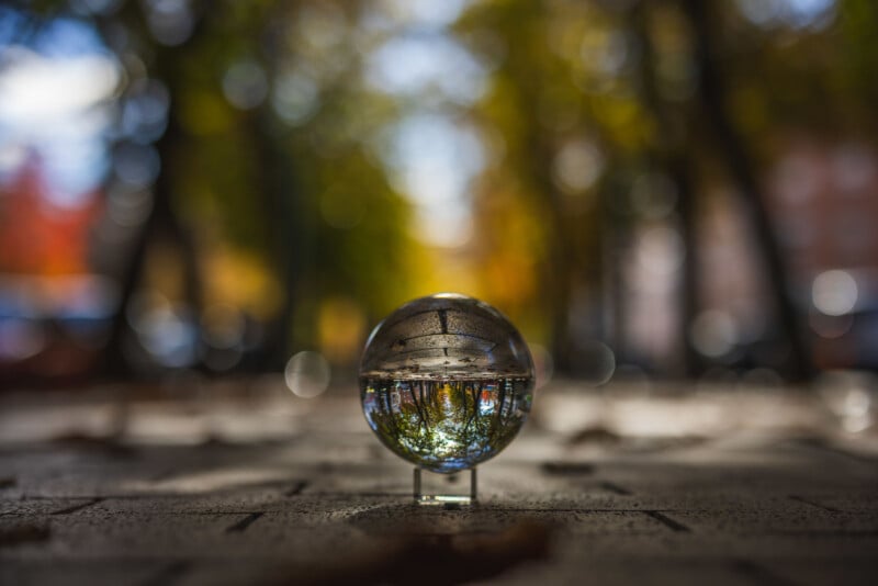A reflective glass sphere rests on a stone pathway, capturing the inverted image of a tree-lined avenue with autumn foliage. The background is blurred, emphasizing the central focus on the crystal ball's reflections.
