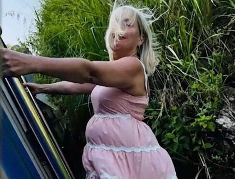 A person with blonde hair in a pink dress stands outdoors, holding on to a metal rail. Tall grass and greenery are in the background, and the wind is blowing their hair across their face.