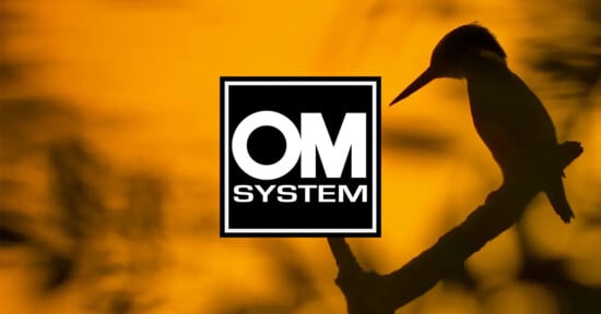 Silhouette of a bird perched on a branch against an orange sunset background. The OM System logo is centered over the image.