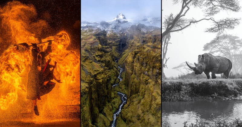 A triptych: Left, a silhouetted figure surrounded by swirling flames. Center, a deep green canyon with a snow-capped mountain above. Right, a grayscale image of a rhinoceros near a tree by a reflective water body.