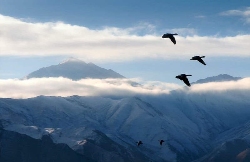 A serene mountain landscape shows snow-covered peaks under soft clouds. Four birds are silhouetted against the sky, flying in unison above the mountains, creating a sense of freedom and tranquility.