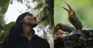 A woman gazes upward in a lush forest on the left side of the image. On the right, a colorful bird with a long, curved beak perches on a rock, its beak open. The setting is vibrant and green, giving a sense of a tropical environment.