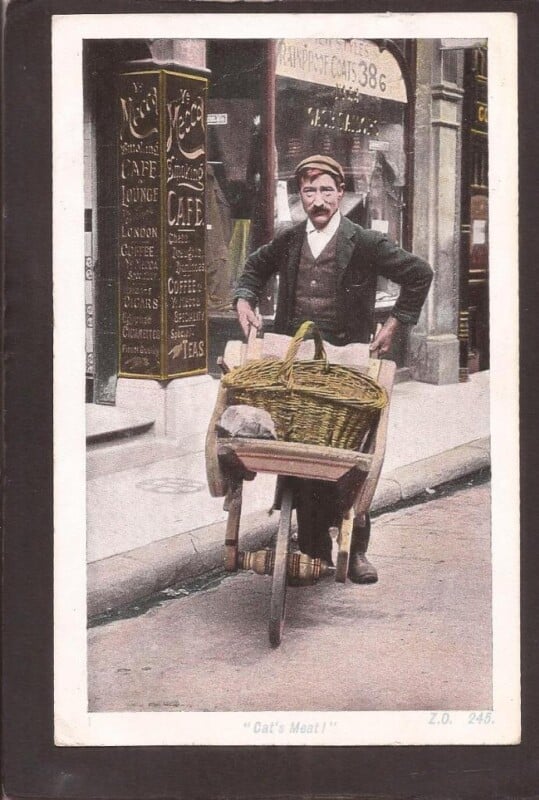 A vintage scene shows a man with a mustache pushing a wooden wheelbarrow containing a basket with a cat in it. He stands on a street, in front of a café with signs advertising coffee, tea, and cigars. The image is titled "Cat's Meat!.