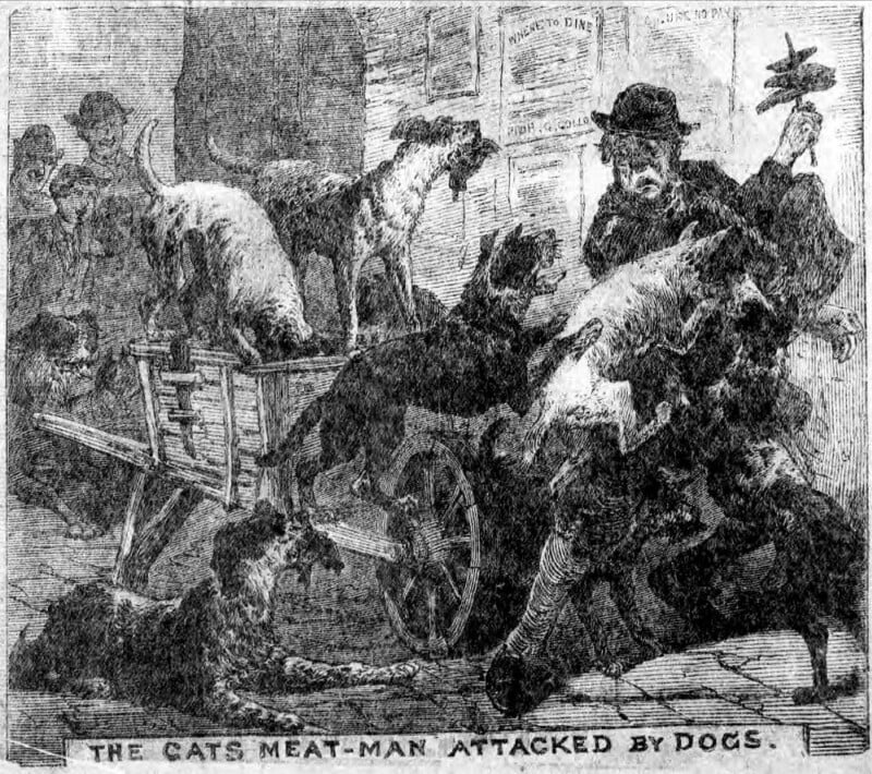 A Victorian-era illustration shows a man in tattered clothing pushing a cart labeled "The Cats Meat Man." Several dogs aggressively surround him, trying to grab the meat, creating chaos in a city street.