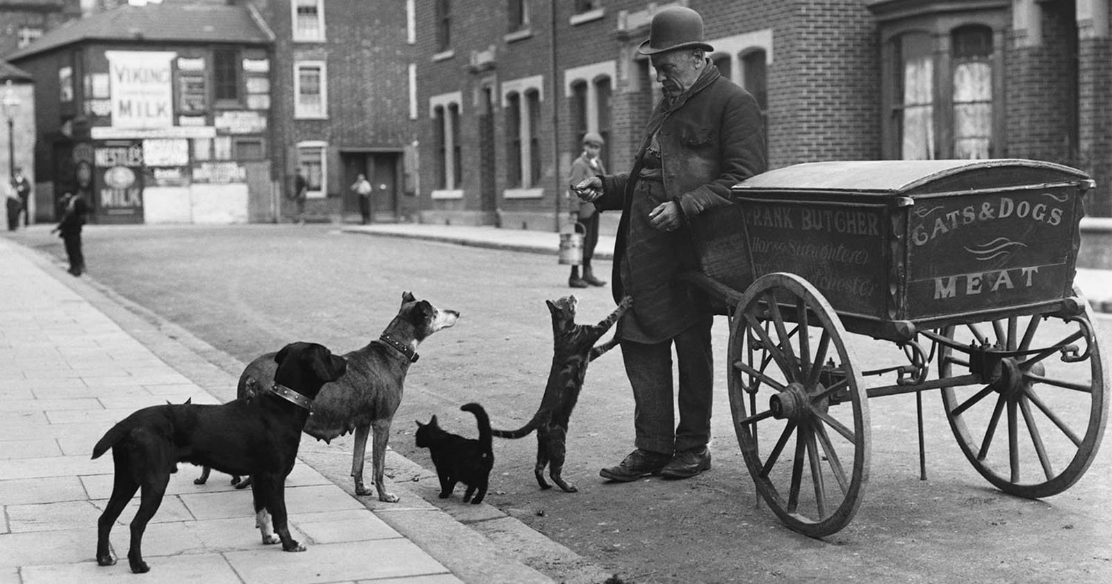 A vintage photograph shows a man wearing a bowler hat and long coat standing by a cart labeled "Cats & Dogs Meat." Four cats and dogs gather around him on a cobblestone street lined with brick buildings.