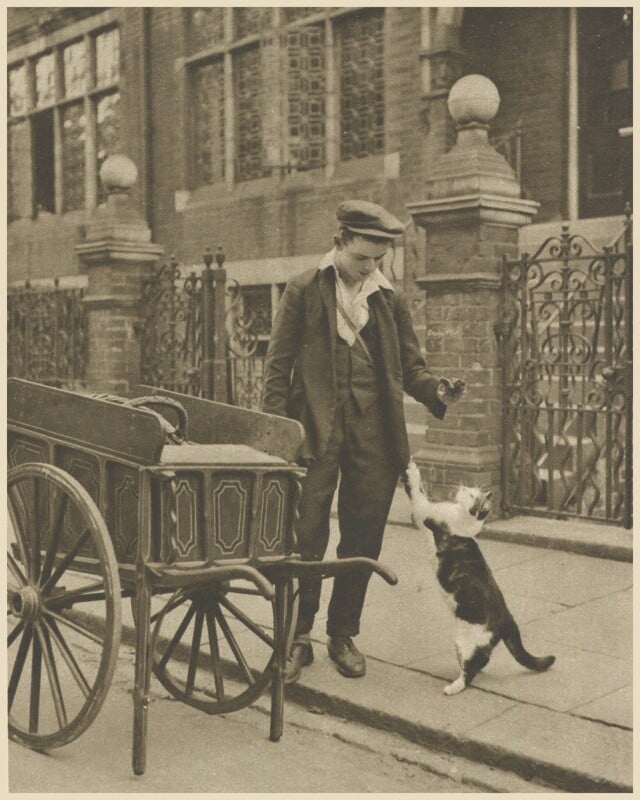 A vintage photo showing a man in a cap and jacket on a street, leaning down to interact with a cat standing on its hind legs. Beside him is a wooden handcart. They are in front of an iron fence near a brick building.