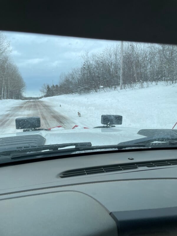 View from inside a vehicle with snowplow attachments, driving on a snowy road lined with barren trees. A small animal is on the right side of the road in the distance under a cloudy sky.