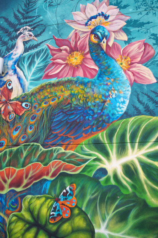 A vibrant mural depicts a colorful peacock with extended feathers, surrounded by large leaves, pink lotus flowers, and butterflies. A second bird is partially visible in the background, blending with the lush scenery.