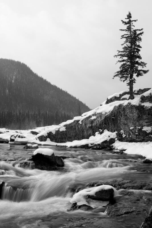 A black and white image of a snowy landscape featuring a lone pine tree on a rocky hill. A flowing river with snow-covered rocks is in the foreground, and a forested mountain is visible in the background under a cloudy sky.