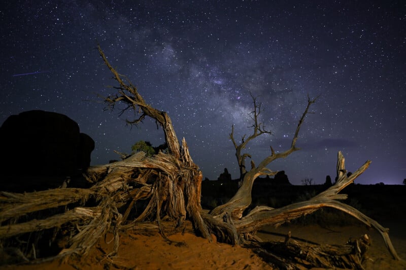A gnarled, leafless tree stands against a night sky filled with stars and the Milky Way, casting a silhouette over the sandy desert landscape. A faint shooting star is visible in the upper left corner.