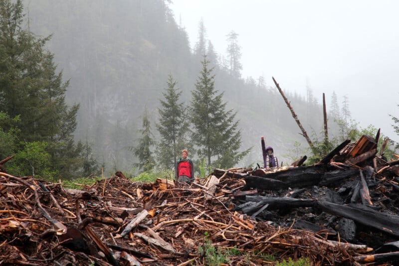 Two people in raincoats stand among a pile of logs and debris in a misty forest. Tall evergreen trees and a foggy hillside are in the background, creating an overcast atmosphere.