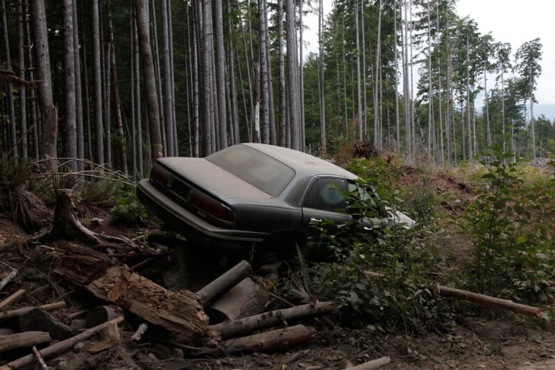 An abandoned, dust-covered car is partially stuck in a forest. It rests among fallen logs and brush. Tall trees with slender trunks surround the vehicle, and the sky is overcast.