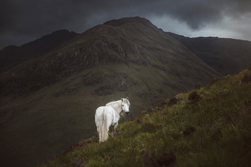 A white horse stands on a grassy hill, looking back toward the camera. Dark, dramatic clouds hover over a rocky mountain in the background, creating a moody atmosphere. The scene is lush and picturesque.