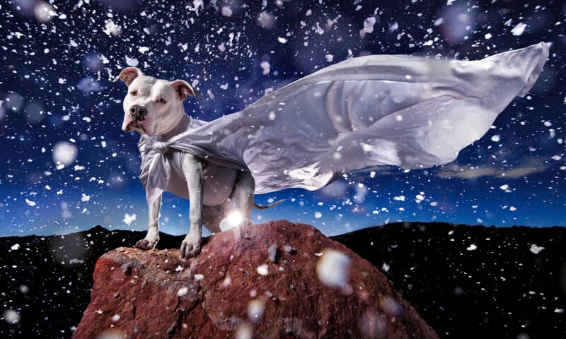 A white dog wearing a flowing superhero cape stands on a large rock. Snowflakes fall around it against a dark, starry sky. The dog's confident stance and the dramatic lighting create a whimsical, adventurous scene.