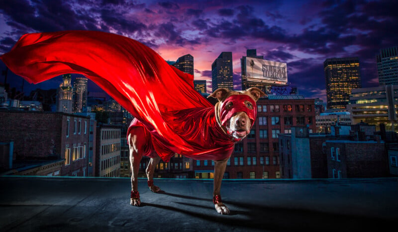 A dog wearing a flowing red superhero cape and mask stands on a rooftop at dusk. The city skyline with tall buildings is visible in the background under a dramatic, colorful sky. A billboard reading 