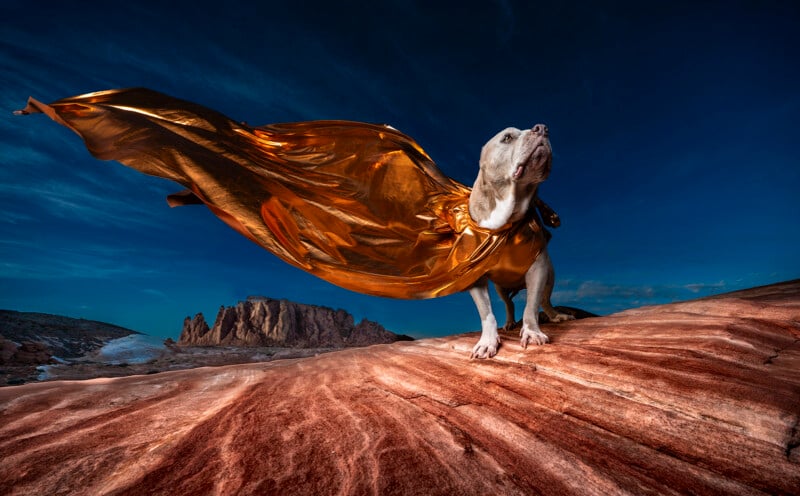 A white dog stands heroically on rocky terrain under a deep blue sky, wearing a flowing golden cape that billows dramatically in the wind. Rough rock formations are visible in the background, enhancing the adventurous setting.