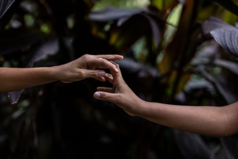 A close up of a hand.