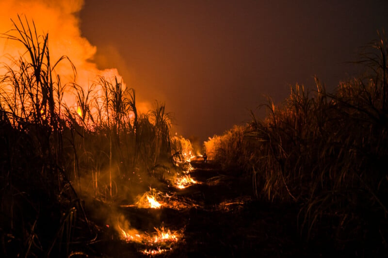 A nighttime scene of a field on fire, with tall grasses burning. Bright orange flames and smoke rise on the left, contrasted by the dark, unburned grasses on the right, under a dimly lit sky.