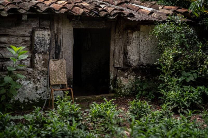 A weathered, rustic house with a partially open door, surrounded by lush greenery. An ornate chair sits empty in front of the entrance. The roof is made of red clay tiles, some of which appear old and damaged.