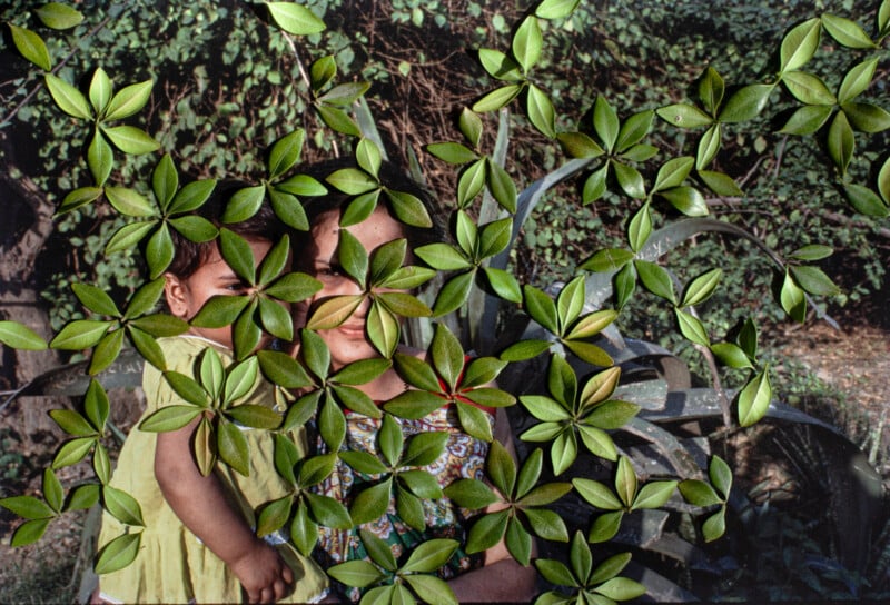 A child and a woman are partially obscured by green, leafy branches in a garden setting. They are sitting and surrounded by dense foliage, with sunlight filtering through the leaves, creating a pattern of light and shadow.