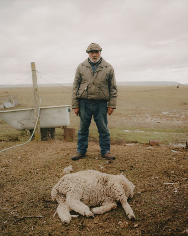 An older man in a jacket and cap stands on a barren field with overcast skies. A sheep lies on the ground in front of him. A bathtub and wire fencing are visible in the background.