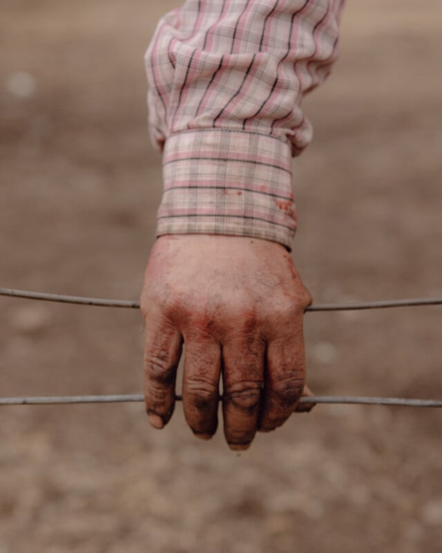 A close-up of a hand gripping a barbed wire fence. The hand is dirty and appears bruised, with a long-sleeved plaid shirt visible. The background is blurred and earthy.