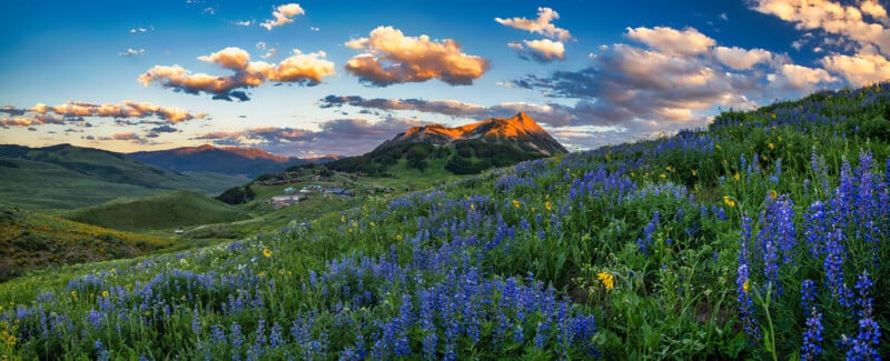 A scenic landscape features a hillside covered in blue and yellow wildflowers. In the background, a mountain peak is illuminated by the setting sun under a sky dotted with fluffy clouds. Rolling green hills surround the area.