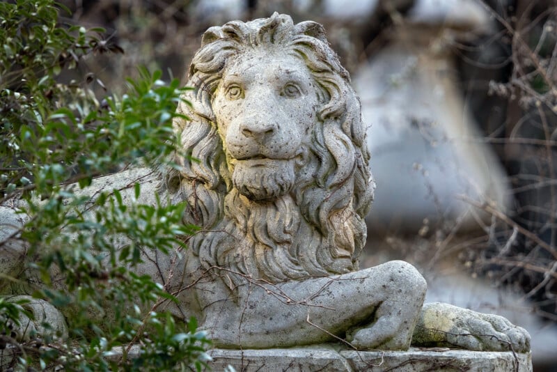 A stone lion statue with a detailed mane lies serenely among foliage. The figure has a calm expression, partially surrounded by branches and leaves. The texture of weathered stone is visible, giving an ancient and majestic appearance.