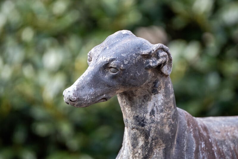 Statue of a dog with a slender body and elongated snout, resembling a greyhound. The sculpture is weathered and has a textured surface. The background is blurred with green foliage.