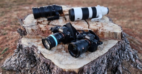 Two DSLR cameras with large lenses and two additional zoom lenses sit on a tree stump in an outdoor setting. The background is blurred, highlighting the photography equipment resting on the textured wood surface.