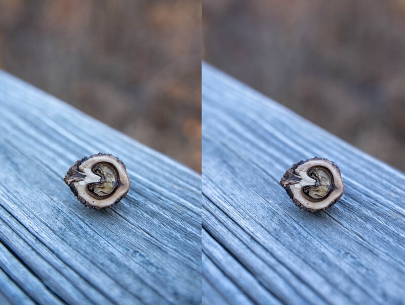 Close-up of a cross-sectioned walnut shell resting on a weathered wooden surface. The shell reveals its intricate interior patterns. The background is softly blurred, highlighting the textured wood and the natural form of the shell.