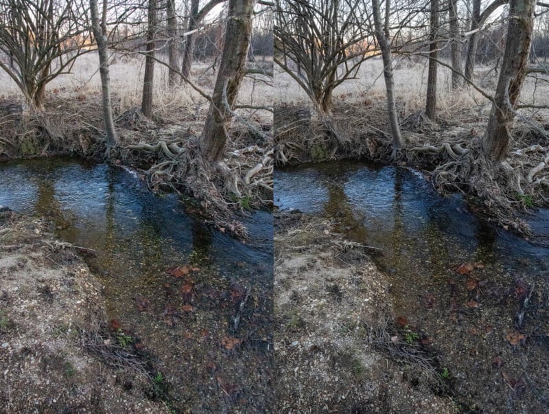 A tranquil stream flows through a woodland area with bare trees and exposed roots. The water is clear, reflecting the surrounding scenery. Fallen leaves rest on the ground, and dry grass lines the bank, creating a serene winter landscape.