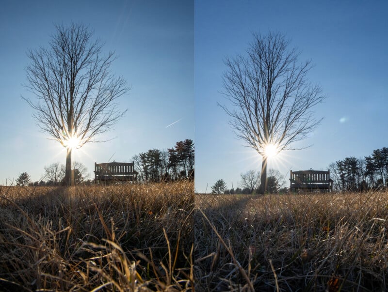 Two side-by-side images of a leafless tree in a grassy field, with the sun shining brightly through the branches. A wooden bench is positioned near the tree. The sky is clear and blue.