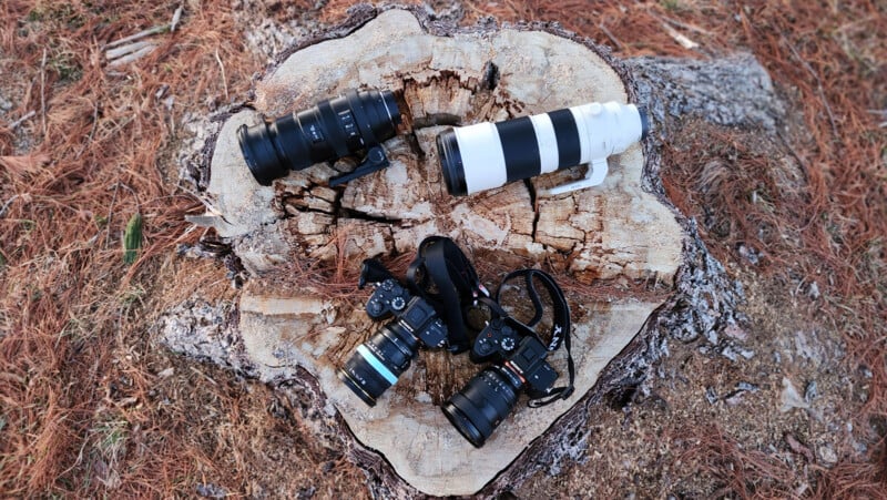 Four cameras with various lenses are placed on a tree stump surrounded by dried pine needles. Two cameras have long telephoto lenses, one with a black-and-white pattern. The scene is set outdoors in a rustic, natural environment.