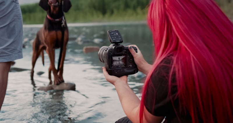 A person with vibrant pink hair takes a photo of a brown dog standing on a rock in a calm, shallow river. The scene is set in a natural environment with greenery in the background.