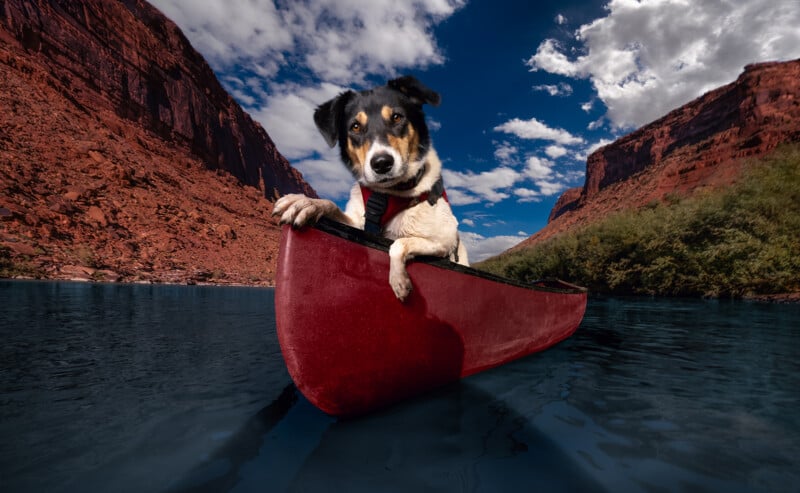 A dog sits in a red canoe on a calm river, surrounded by towering red cliffs under a partly cloudy blue sky. The dog looks directly at the camera, creating a playful, adventurous scene.