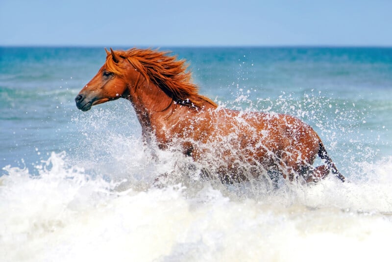 A chestnut horse gallops through the ocean waves, its mane flowing and water splashing around. The background shows the clear blue sky and the sea stretching into the distance.