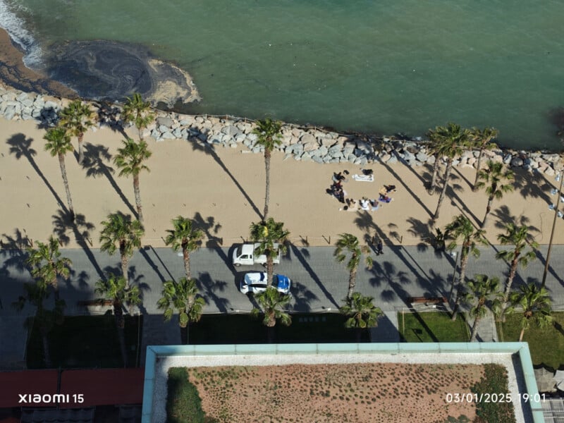 Aerial view of a beachside promenade lined with palm trees. People are gathered near the edge of the sandy beach, with two vehicles parked on the pathway. The ocean is visible in the background.