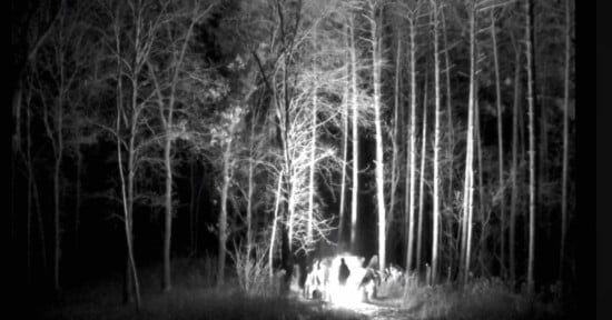 A black and white image shows several people standing in a brightly illuminated area in a forest at night. Tall trees surround the group, and their branches stretch into the sky. The scene has a mysterious and eerie atmosphere.