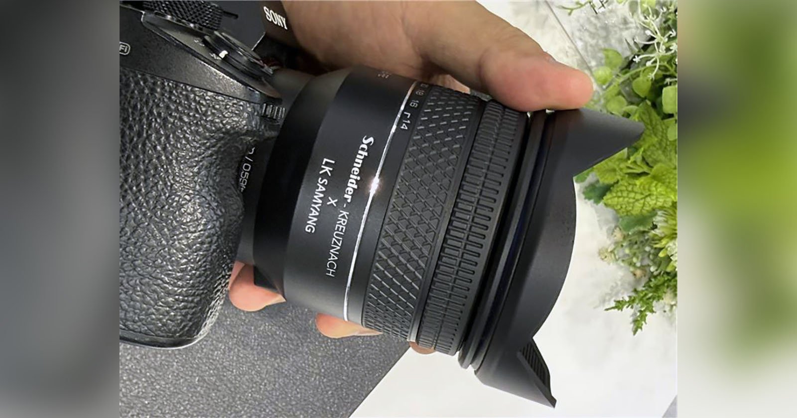 Close-up of a camera with a Samyang lens held by a hand. The lens has textured grips and markings, and the camera body appears black. Green foliage is slightly visible in the background.