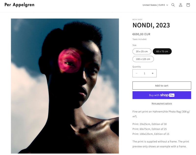 A portrait of a person against a moody sky backdrop. A pink flower shape overlays one eye. The image is displayed on a website with options to choose print size and purchase, with pricing at €690 EUR.