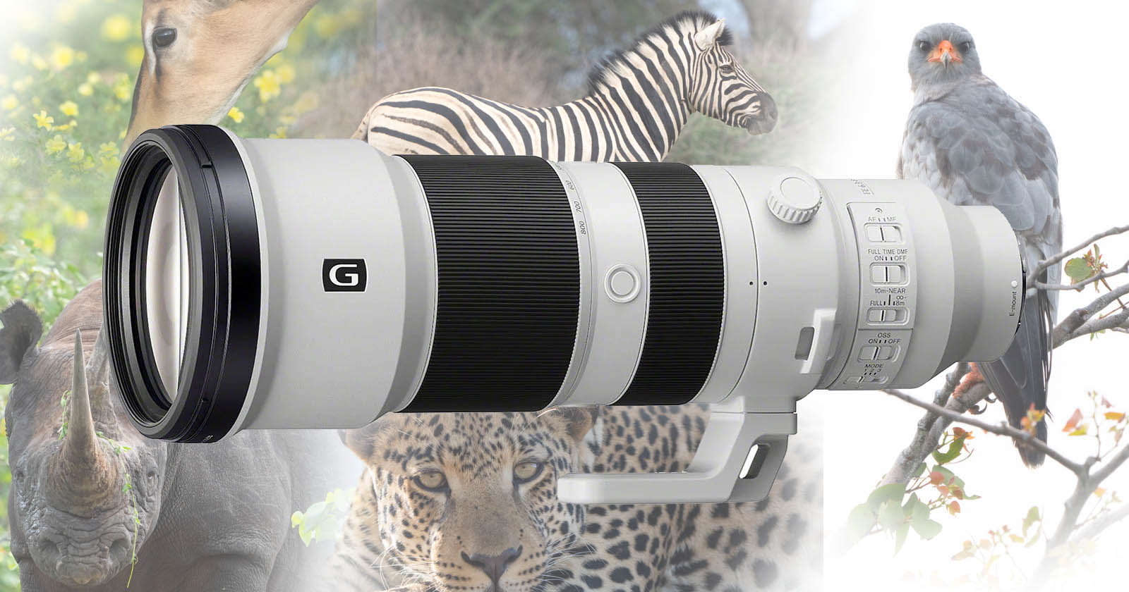 A large telephoto camera lens is displayed prominently in the center. In the background, various wildlife images, including a zebra, bird, and leopard, are blended into a soft focus, emphasizing the nature photography theme.