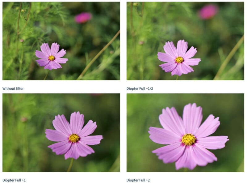 Four images of a pink flower with a yellow center, each showing different focus effects: Top left, "Without filter"; top right, "Diopter Full +1/2"; bottom left, "Diopter Full +1"; bottom right, "Diopter Full +2". Green blurred background.