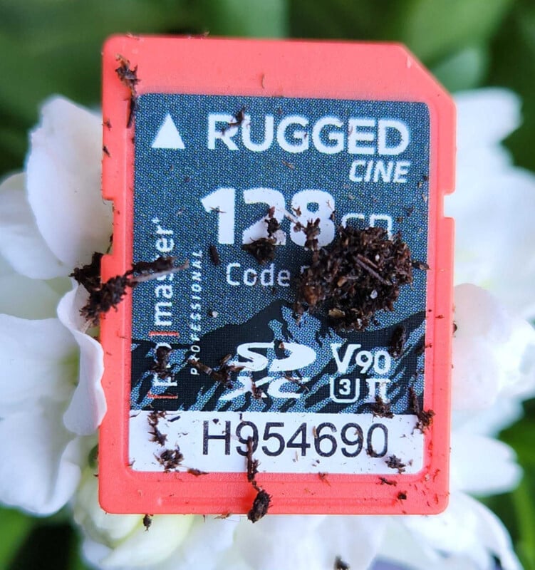 A close-up of a red 128GB SD card labeled "RUGGED CINE," partially covered in soil, resting on white flower petals with a green blurry background.
