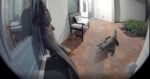 Internet Fooled by Viral AI Image of Man Fighting an Alligator | PetaPixel