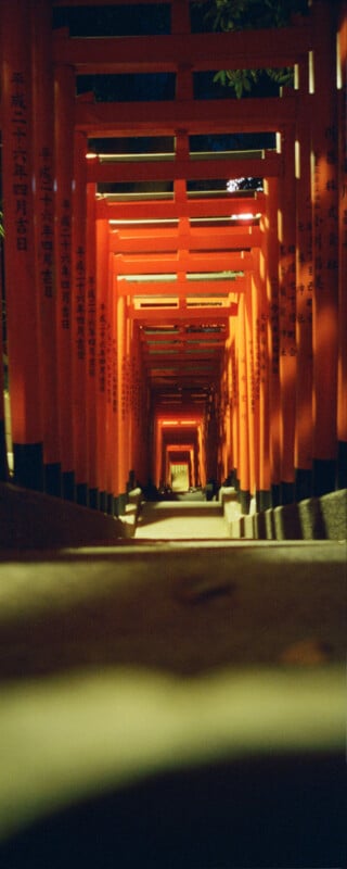 A series of vibrant red torii gates create a tunnel-like pathway, receding into the distance. The Japanese characters on the gates are visible, and the scene is illuminated by gentle lighting, evoking a serene atmosphere.