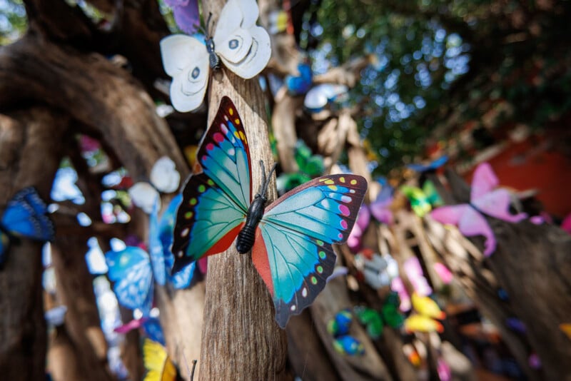 Colorful artificial butterflies are attached to the branches of a tree, with a large blue and green butterfly in focus. Other butterflies in various colors are visible in the background among the tree branches.