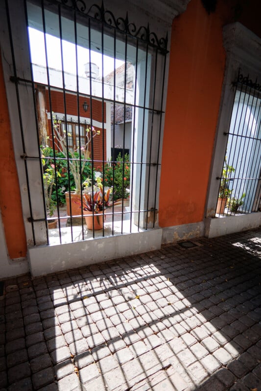 View through a barred window with shadows cast on a cobblestone walkway; inside, there are green plants and an orange wall, part of an outdoor courtyard with sunlight streaming in.