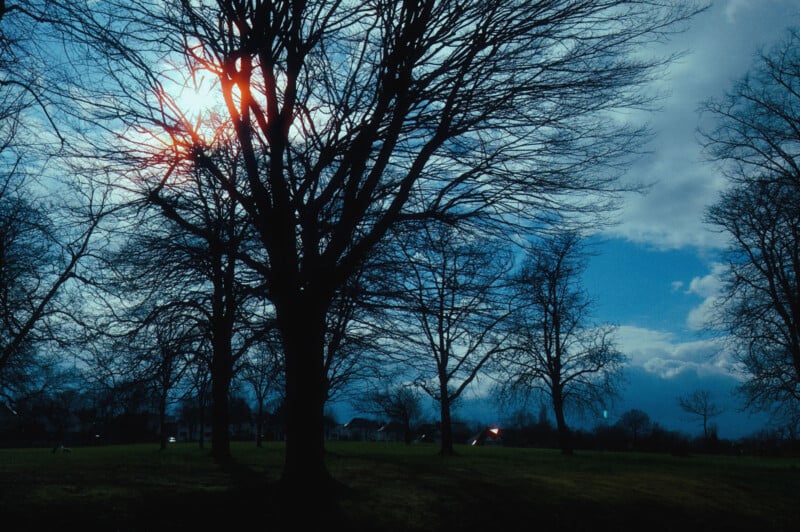 Silhouetted bare trees against a blue sky with scattered clouds. The sun peeks through branches, casting a vibrant glow. A grassy field and a distant building are visible in the background.