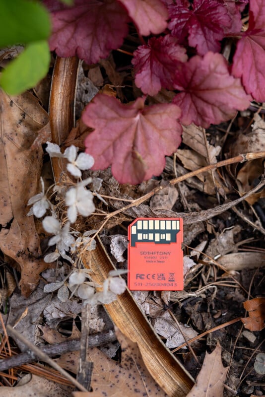 A red SD memory card lies on dry leaves and twigs, surrounded by plants with pink and green leaves. The card is partially embedded in the ground, blending with the natural debris around it.